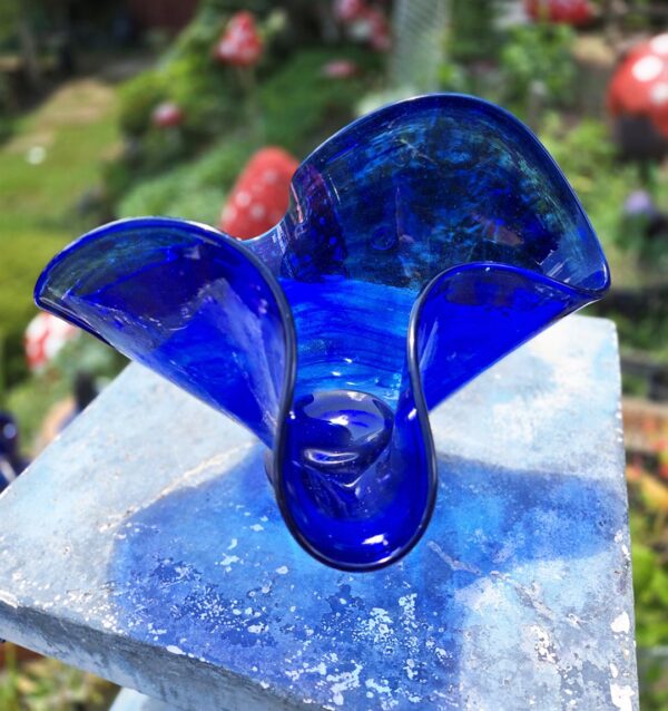 Blue Frill Spin Out - Image 2