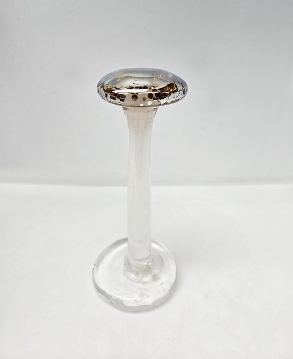 Shroom Shiny Teacher Gold Top - Image 3