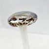 Shroom Shiny Teacher Gold Top