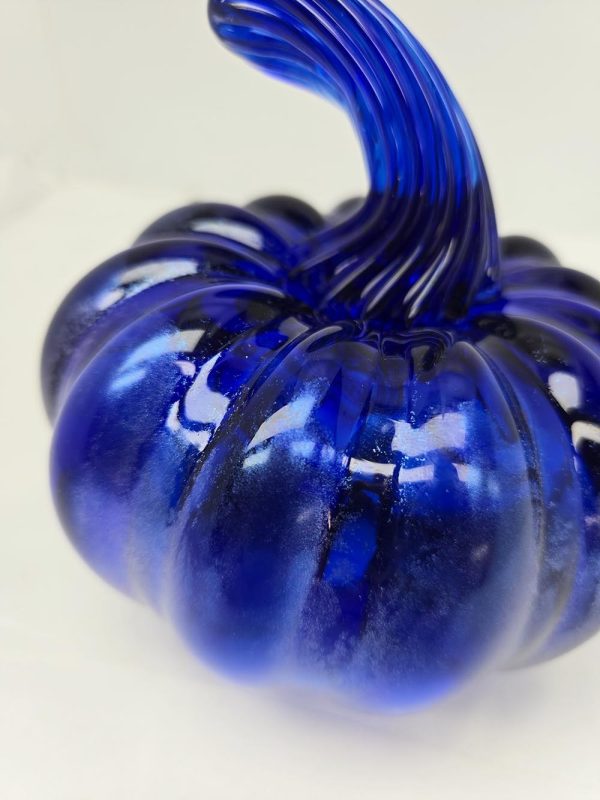 Blue Pumpkin - Image 3