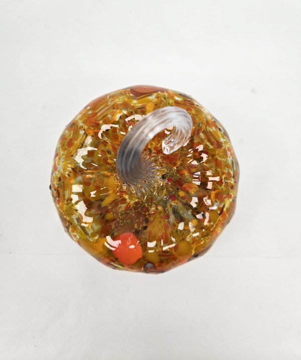 Pumpkin - Medium - Image 4