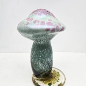 Mica Mint and Pink Mushroom